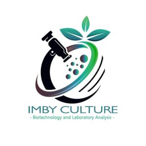 IMBY Culture